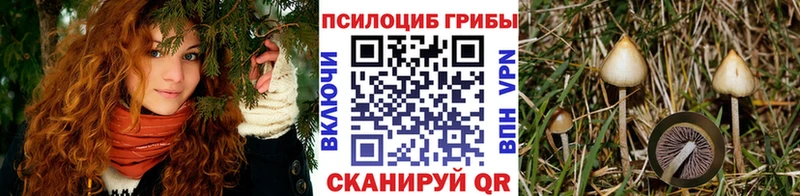 Псилоцибиновые грибы мицелий  МЕГА рабочий сайт  Иноземцево 